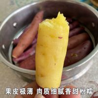 [现挖]海南澄迈桥头富硒地瓜农家小番薯红薯板栗薯10/1斤