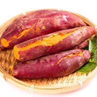 [现挖现发]沙地板栗红薯新鲜红蜜薯蔬菜2/5/9斤批发番薯地瓜
