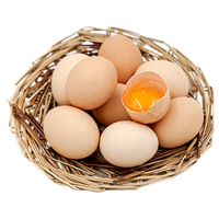 赛卡伊 [大鹏农家]40枚长寿之乡正宗散养新鲜土鸡蛋草鸡蛋混合绿壳蛋