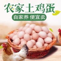 赛卡伊 [当日蛋]正宗土鸡蛋农家散养蛋新鲜鸡蛋20/40枚笨鸡蛋整箱批发