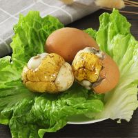 赛卡伊 五香13天新鲜活珠子鸡蛋熟鸡胚即食毛鸡蛋钢化蛋厂家批发