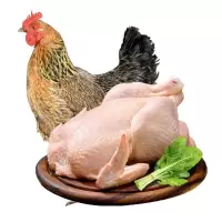赛卡伊 [ 三年老母鸡]散养老母鸡土鸡草鸡笨鸡新鲜鸡肉整只走地鸡 纯粮散养老母鸡[送料包] 宰杀后净重6斤[经济