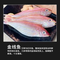 赛卡伊 全国东海新鲜金线鱼水产海鱼冷冻红杉鱼金丝鱼闽南必香鱼 4斤装(20条-25条左右)