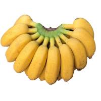 赛卡伊 广西小米蕉香蕉水果 批发5斤装芭蕉当季新鲜水果 5斤精品装[净重5斤]