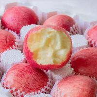 赛卡伊 [48小时发货](顺丰)山东烟台红富士苹果水果10斤新鲜当季脆甜冰糖心丑苹果