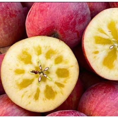 赛卡伊 [48小时发货] 苹果当季新鲜红富士整箱5/10斤批发