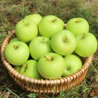 赛卡伊 青苹果水果新鲜脆甜酸苹果应季批发一整箱平果山西当