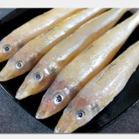 赛卡伊 新鲜沙丁鱼冷冻沙尖鱼中大海鲜金色沙钻鱼国产天然顺丰沙梭鱼 2斤约28条顺丰