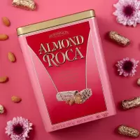 美国进口 Almond Roca乐家 巧克力杏仁糖 年货 巧克力糖果礼盒