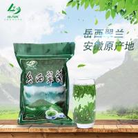 绿月 岳西翠兰2019新茶安徽高山茶叶250g袋装绿色食品茶
