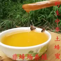 野生土蜂蜜农家土蜂蜜自产蜂蜜 正品深山纯正天然土蜂蜜百花蜜1斤