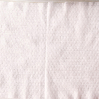 湿巾纸家庭实惠装手口专用100带盖抽取式10大包装特价成人湿纸巾