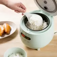Bear/小熊 电饭煲小型迷你电饭锅家用预约型多功能煮饭 绿色