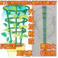 加粗爬藤架花架植物攀爬架田园铁艺架花架花支柱简约