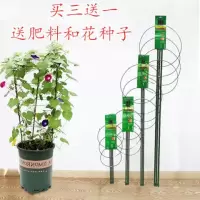 爬藤架花架园艺支架植物攀爬架铁艺支柱月季藤本花架