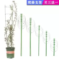 花架爬藤架园艺支架植物攀爬架室内外月季铁线莲花架