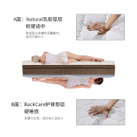 乳胶床垫 双人1.5米1.8m席梦思护脊弹簧床垫厂家直销