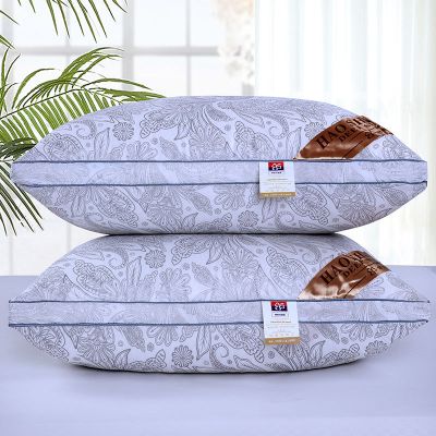 新款枕头枕芯大尺寸成人双人保健枕学生枕头多规格可选