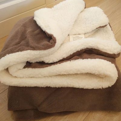 冬季纯色双层加厚羊羔绒毛毯 被套法兰绒珊瑚绒毯子冬季保暖床单
