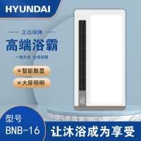HYUNDAI韩国现代浴霸吊顶电器(BNB-16)集成吊顶式风暖卫生间家用取暖五合一嵌入式浴室