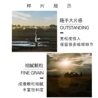 美国炮塔portra400度135专业彩色负片胶卷2021.10单卷价S7