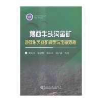 豫西牛头沟金矿地球化学找矿模型与定量预测/龚庆杰/冶金工业出版