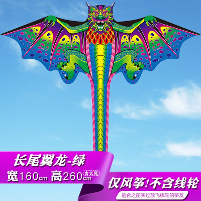 翼龙风筝长尾中型成人潍坊2020新款好飞微风线轮初学者大恐龙创意 三维工匠 长尾翼龙-绿+260m线轮