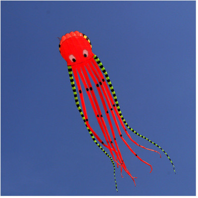 3D立体软体大型章鱼风筝成人风筝2020年新款微风特大大风筝创意 三维工匠 8米蓝彩章鱼(不带线和轮)