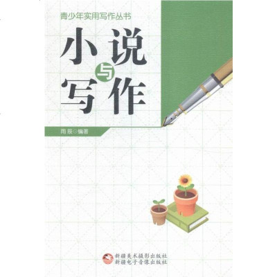 小说与写作 中小学教辅 雨辰编著 新疆美术摄影出版社 9787546960494