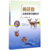 正版书籍梅花鹿高效养殖关键技术郜玉钢梅花鹿养殖技术梅花鹿养殖简单学梅花鹿的饲养管理鹿病诊断治疗