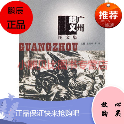 广州起义图文集王晓玲,蒋斌,广州出版社
