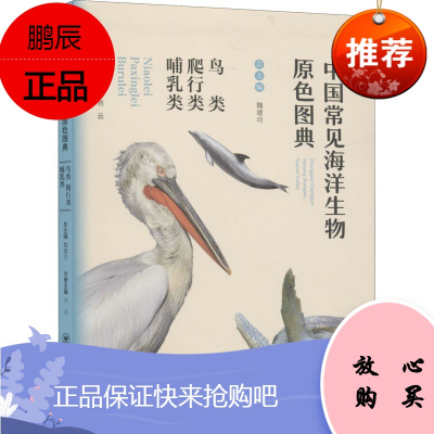 中国常见海洋生物原色图典 鸟类 爬行类 哺乳类 魏建功 海洋鸟类爬行类哺乳类的特点 少儿科普知识书