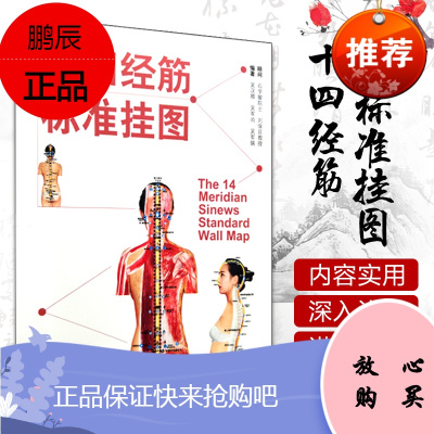 十四经筋标准挂图 吴汉卿 吴军尚 吴军瑞编著 中国中医药出版社9787513250733