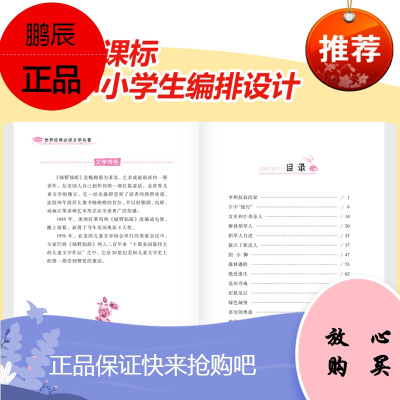 [5件48元]绿野仙踪 青少年版名师导读 语文中小学生课外阅读书世界经典名著