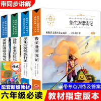 全套4册 汤姆索亚历险记 正版 原著 小学版 鲁滨逊漂流记 鲁滨孙 快乐读书吧六年级下册必读课外书阅读书籍经典书目老师推