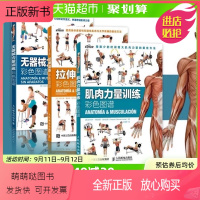 [正版新书]肌肉力量训练彩色图谱拉伸训练无器械力量训练运动健身书籍3册