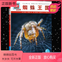 蜘蛛王国(学生版) [正版新书]什么是什么珍藏版全套7辑68册蛇的故事德国少年儿童百科知识全书十万个为蛇恐龙动物自然天文