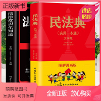 [正版新书]抖音同款律师好书]民法典实用一本通大字版图解漫画版+法律常识一本通生活中常见法律理解与适用婚姻侵权保险法基