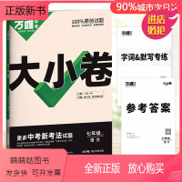 大小卷[语文] 九年级/初中三年级 [正版新书]2023版万唯中考初中大小卷七八九年级上册下册语文数学英语物理化学练习册