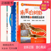 [正版新书]全3册南美白对虾高效养殖与疾病防治技术+怎样提高南美白对虾养殖效益+南美白对虾健康养殖技术 第二版龙虾养殖