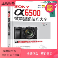 [正版新书]SONYα6500微单摄影技巧大全 a6500微单摄影书籍 摄影入门教材实拍技巧大全书 索尼微单摄影教程书