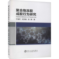 全新聚合物冻胶成胶行为研究于海洋,纪文娟,张鹏9787502486211