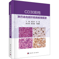 全新CD30阳淋巴造血组织疾病病理图谱作者9787030718358