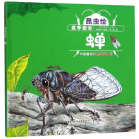 全新夏季歌者:蝉(精装)/昆虫绘付赛男9787541767661