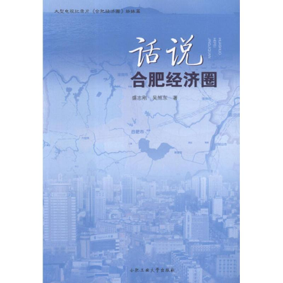 全新话说合肥经济圈盛志刚,吴旭东9787565006708