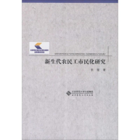 全新新生代农民工市民化研究张斐 著9787303192496