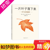 [正版]一片叶子落下来硬壳精装图画书适合3-4-5-岁以上幼儿启蒙早教认知系列睡前亲子阅读书籍爱心树绘本关于生命的故事正