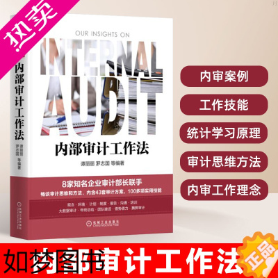 [正版]内部审计工作法谭丽丽著经济统计学习原理畅谈审计思维和方法统计审计会计审计思维和方法大数据审计内审工作理念工作技能