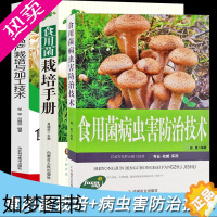 [正版]食用菌高产栽培与加工技术病虫害防治食用菌栽培分类市场分析平菇香菇金针菇猴头菇鸡腿菇杏鲍菇栽培场所设计农场生态化现