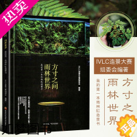[正版]方寸之间 雨林世界 我的一本雨林缸造景书 雨林植物造景书籍 生态缸书籍 水陆缸造景书籍 人造雨林材料 雨林缸造景